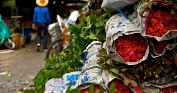 Bangkok’s Flower Market
