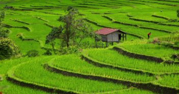 Let’s Go, The Slow Life of Mae La Noi