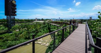 PTT Green in the City