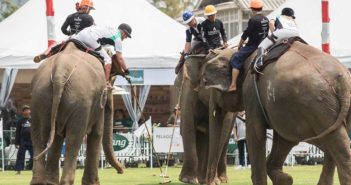 2018 King’s Cup Elephant Polo Raises a Trunkload of Cash for Elephant Charities
