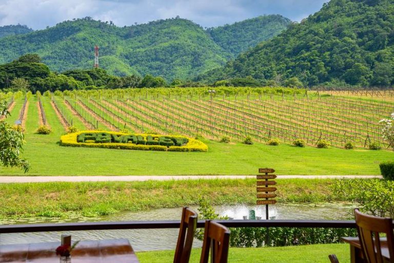 Thailand’s Vineyards ⋆ Hot Magazine