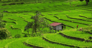 Let’s Go, Mae La Noi