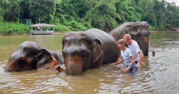Up Close and Personal, Elephant Haven, Kanchanaburi