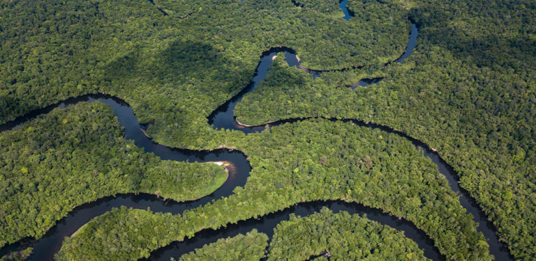 Into the Green Heart of Cambodia: Cardamom National Park