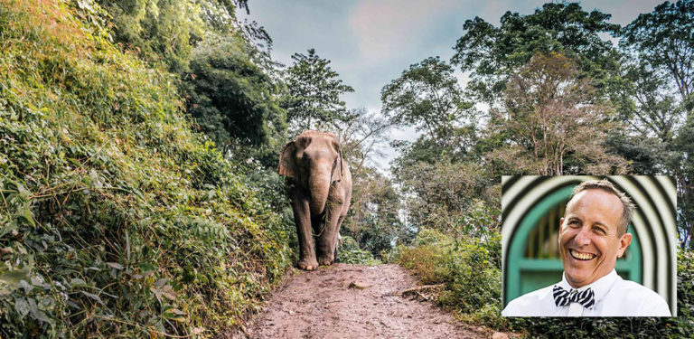 Sculpting the Wild: McGuire’s New Bill Bensley Collection