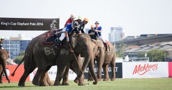 The 14th Annual King’s Cup Elephant Polo Tournament