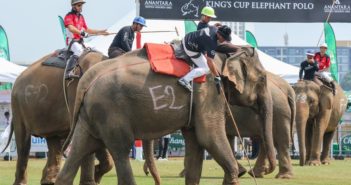 Thailand’s Pachyderms Are The Beneficiaries To Millions Thanks The The Anantara