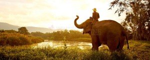 Panorama-Anantara-Golden-Triangle-Elephant-Camp-Chiang-Mai